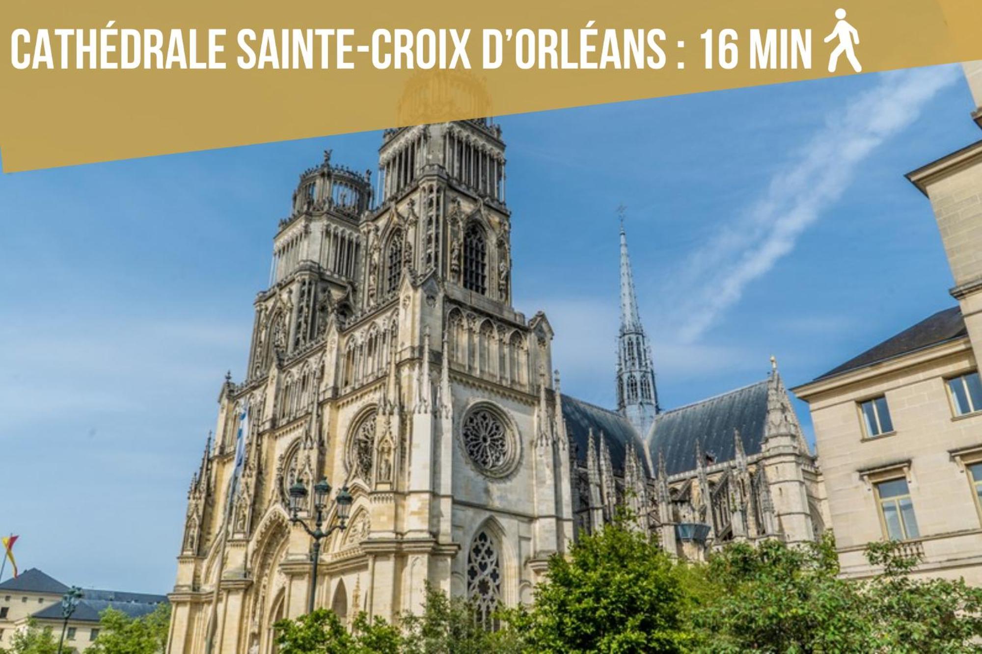 Le St Paterne, Hyper Centre, 3 Chambres Tt Confort Орлеан Екстериор снимка